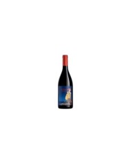 Rode wijnen  Sul Vulcano Etna Rosso DOC 2017 - Donnafugata 20,96 €