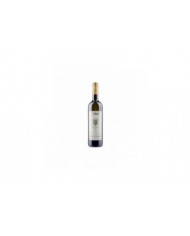 White wines  Pinot Grigio 2023 - LETRARI 9,75 â‚¬ White wines  Pinot Grigio 2023 - LETRARI 9,75 â‚¬
