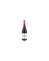 Rode wijnen  Etna Rosso Pietrarizzo 2017 - Tornatore 22,95 €