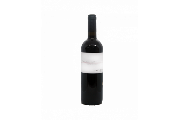 Vini Rossi  Montepulciano d’Abruzzo DOC 2010 – Francesco Paolo Michetti - Cantina Rapino 11,80&nbsp;€