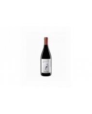 Rode wijnen  Chichibio Biovegan Montepulciano d'Abruzzo DOP 2021 - Codice Citra 7,73 €