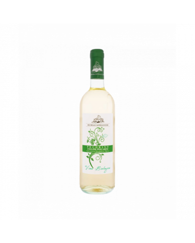 White wines  Pecorino d’Abruzzo IGT 2022 Colline Pescaresi - Duchi di Castelluccio 6,50 € White wines  Pecorino d’Abruzzo IGT 2022 Colline Pescaresi - Duchi di Castelluccio 6,50 €