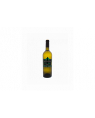 Vini Bianchi  Tenuta Cipressi Pecorino I.G.T. 2022 Vino Biologico - Duchi di Castelluccio 9,10 â‚¬ Vini Bianchi  Tenuta Cipressi Pecorino I.G.T. 2022 Vino Biologico - Duchi di Castelluccio 9,10 â‚¬