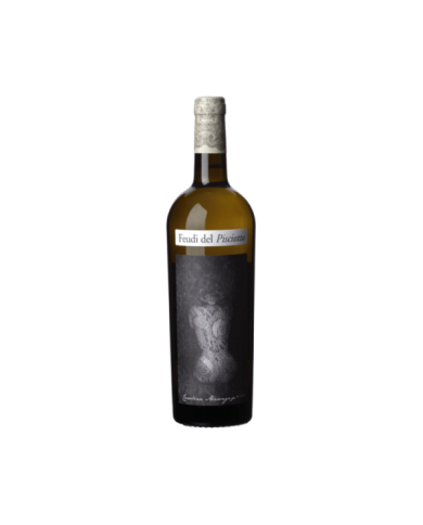 Vini Bianchi  Grillo CAROLINA MARENGO KISA 2013 - Feudi del Pisciotto 17,83 €