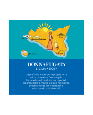 Vini Rossi  Viaggio a Contessa Entellina - Cassetta legno e plexiglass 2 bottiglie da 0,75l Donnafugata 57,79&nbsp;€