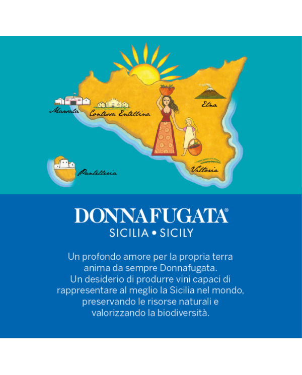 Vini Rossi  Viaggio a Contessa Entellina - Cassetta legno e plexiglass 2 bottiglie da 0,75l Donnafugata 57,79 €