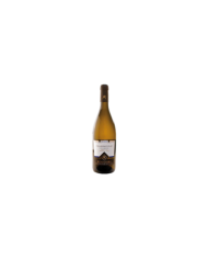 Witte Wijnen  Chardonnay IGT 2019 - RUGGIERI 7,03 €