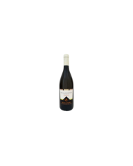 Witte Wijnen  Passerina IGT Bella Passera 2019 - RUGGIERI 7,38 €