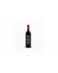 Red Wines  Purpura Rosso Terre degli Osci IGT 2021 - Cantine Cieri 6,29 €