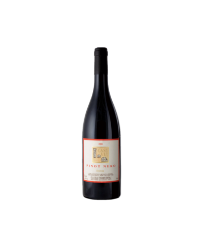 Vini Rossi  Pinot Nero Case Via 2017 Bio - FONTODI 32,70 €