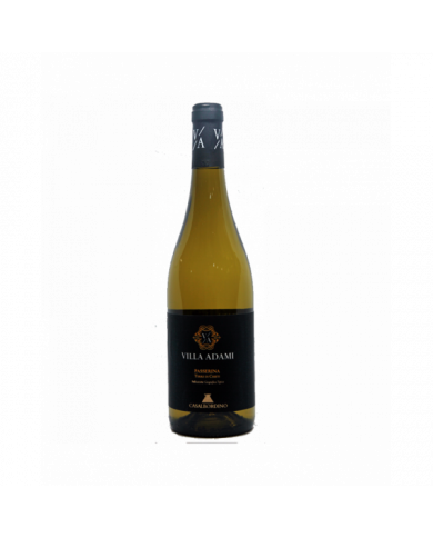White wines  Villa Adami Passerina Terre di Chieti IGT 2021 - Casalbordino 5,66 â‚¬ White wines  Villa Adami Passerina Terre di Chieti IGT 2021 - Casalbordino 5,66 â‚¬