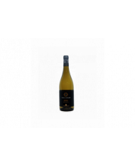 White wines  Villa Adami Passerina Terre di Chieti IGT 2021 - Casalbordino 5,66 €