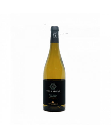 White wines  Villa Adami Pinot Grigio Terre di Chieti IGT 2023 - Casalbordino 6,64 â‚¬ White wines  Villa Adami Pinot Grigio Terre di Chieti IGT 2023 - Casalbordino 6,64 â‚¬
