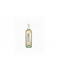 Weißweine  Terre Sabelli Pecorino IGT 2025 - Casalbordino 6,23&nbsp;€