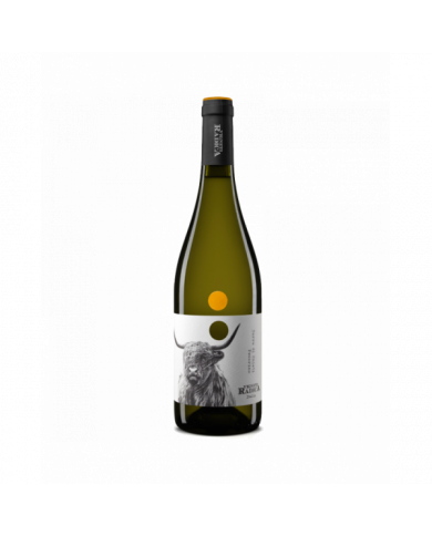 Vini Bianchi  Pecorino IGT Terre di Chieti 2023 - Vigneti Radica 10,66 € Vini Bianchi  Pecorino IGT Terre di Chieti 2023 - Vigneti Radica 10,66 €