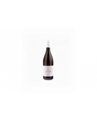 Witte Wijnen  MEZZADRIA Pecorino IGT Terre di Chieti 2021 - Paolucci 7,79 €