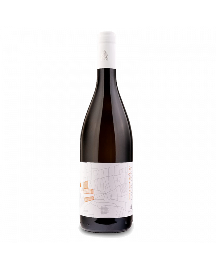 Witte Wijnen  MEZZADRIA Cococciola IGT Terre di Chieti 2022 - Paolucci 7,79 €