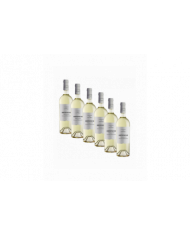 Vini Bianchi  6 bottiglie Caldora Ortonese Malvasia Chardonnay IGT 2021 - Fantini Farnese 30,24 â‚¬ Vini Bianchi  6 bottiglie Caldora Ortonese Malvasia Chardonnay IGT 2021 - Fantini Farnese 30,24 â‚¬