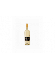 Witte Wijnen  FLUTTO Pecorino Terre di Chieti IGT 2020 - Finisterrae 7,47 €