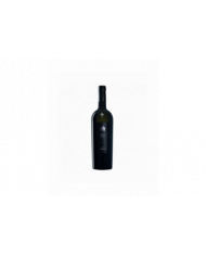 White wines  Trebbiano D'Abruzzo DOC 2023 - Rosarubra 15,87 €