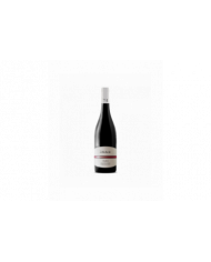 Red Wines  Trave Montepulciano D'Abruzzo DOC 2021 - San Michele Arcangelo 4,83 €
