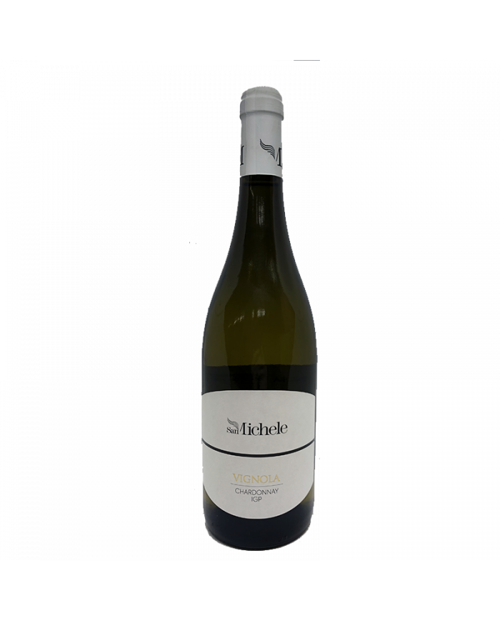 Vini Bianchi  Chardonnay Terre di Chieti IGP 2021 - Vignola - San Michele Arcangelo 7,03 €