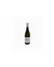 Vini Bianchi  Chardonnay Terre di Chieti IGP 2021 - Vignola - San Michele Arcangelo 7,03 €