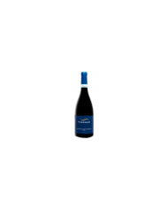 Red Wines  Montepulciano D'Abruzzo blu label DOC 2020 - Piandimare 8,02 €