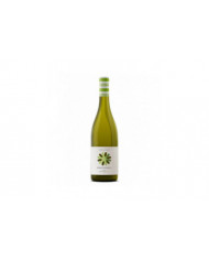 Witte Wijnen  Costa del Mulino Abruzzo Cococciola DOC 2023 - Cantina Frentana 6,16 €