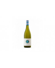 Witte Wijnen  Abruzzo Passerina DOC 2022 Costa del Mulino - Cantina Frentana 5,93 €