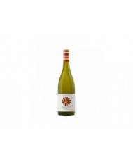 White wines  Costa del Mulino Abruzzo Pecorino DOC 2022 - Cantina Frentana 5,98 €