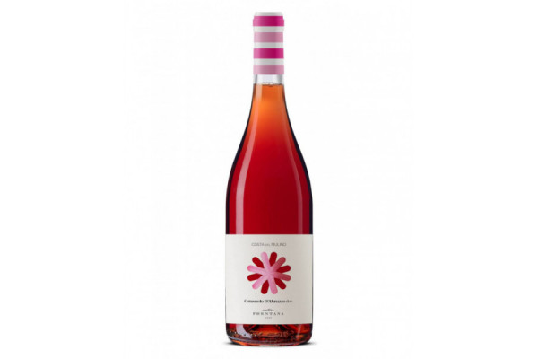 Vini Rosè  Costa del Mulino Cerasuolo d'Abruzzo DOC 2023 - Cantina Frentana 6,47&nbsp;€