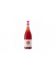 Rosé-Weine  Costa del Mulino Cerasuolo d'Abruzzo DOC 2023 - Cantina Frentana 6,47 €