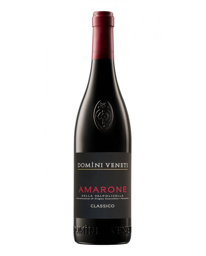 Red Wines  Amarone della Valpolicella DOCG Classico 2019 - Domini Veneti 25,38 €