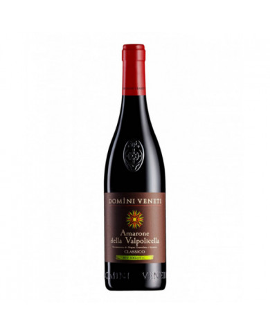 Red Wines  Amarone della Valpolicella DOCG Classico Bio Organic 2018 - Domini Veneti 26,33 €
