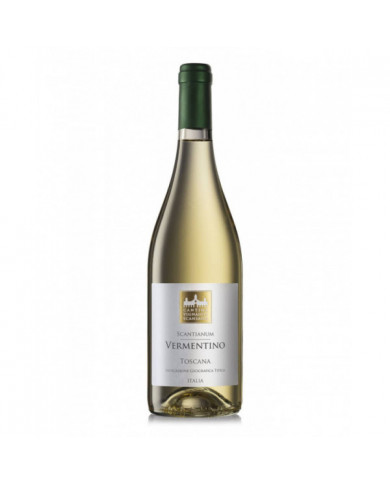 Witte Wijnen  Vermentino Scantianum 2023 - Cantina Vignaioli del Morellino di Scansano 10,33&nbsp;€