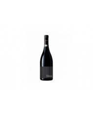 Red Wines  Diodoros Sicilia DOC 2019 - CVA Canicattì 25,00&nbsp;€