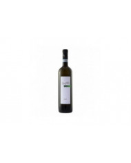 White wines  Colle di Tilio Fiano Cru del Sannio 2022 - La Guardiense 10,92&nbsp;€