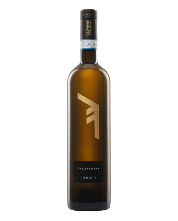 Witte Wijnen  Alfabeto Falanghina del Sannio Janare DOP 2021 - La Guardiense 6,15 €