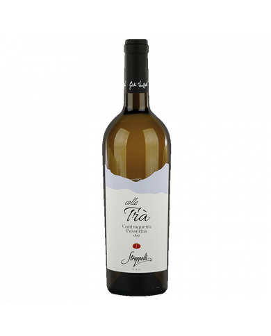 White wines  Controguerra Passerina Colle Trà DOP 2022 - Strappelli 11,28 € White wines  Controguerra Passerina Colle Trà DOP 2022 - Strappelli 11,28 €