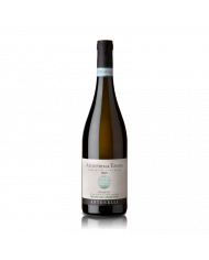 Witte Wijnen  Vigna Tonda Trebbiano Spoletino Spoleto DOC 2022 - Antonelli San Marco 15,35 €
