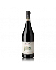 Red Wines  Molino dell'Attone Montefalco Sagrantino DOCG 2019 - Antonelli San Marco 42,72 €