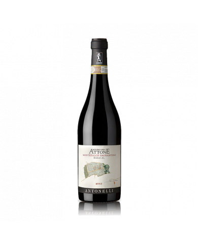 Red Wines  Molino dell'Attone Montefalco Sagrantino DOCG 2016 Magnum - Antonelli San Marco 79,80 €