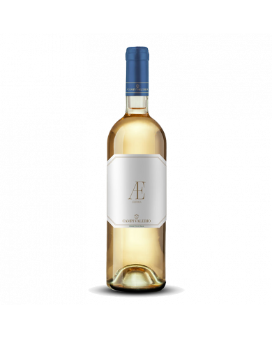 Vini Bianchi  AE Falanghina del Molise DOC 2020 - Campi Valerio 9,67 € Vini Bianchi  AE Falanghina del Molise DOC 2020 - Campi Valerio 9,67 €