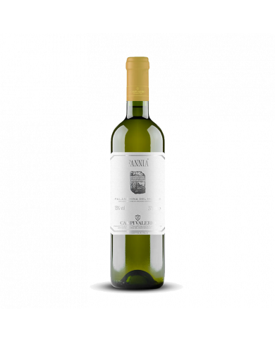 Witte Wijnen  Fannia Falanghina del Molise Doc 2021 - Campi Valerio 9,75 â‚¬ Witte Wijnen  Fannia Falanghina del Molise Doc 2021 - Campi Valerio 9,75 â‚¬