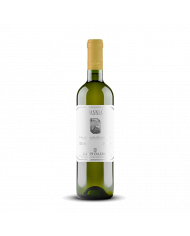 Vini Bianchi  Fannia Falanghina del Molise Doc 2021 - Campi Valerio 9,75 €