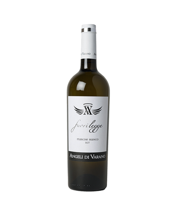 White wines  Marche Bianco IGT 2019 fuorilegge - Angeli di Varano 6,59 â‚¬ White wines  Marche Bianco IGT 2019 fuorilegge - Angeli di Varano 6,59 â‚¬