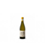 Witte Wijnen  Castello di Semivicoli Trebbiano d’Abruzzo Doc 2020 - Masciarelli 22,46 €