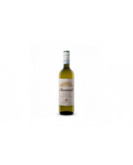 Witte Wijnen  Linea Classica Trebbiano d’Abruzzo Doc 2022 Tappo Stelvin - Masciarelli 7,54&nbsp;€