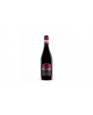 Vini Rosè  Villa Gemma Cerasuolo d’Abruzzo Doc Superiore 2021 - Masciarelli 12,38 €